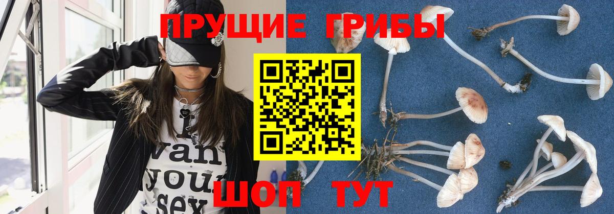 Галлюциногенные грибы ЛСД  Вход с VPN  Орёл 