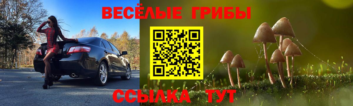 Псилоцибиновые грибы мухоморы Орёл
